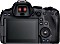 Canon EOS R6 Mark II z obiektywem RF 24-105mm 4.0-7.1 IS STM Vorschaubild