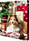 Trixie Adventskalender für Hunde (9268)