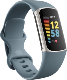 Fitbit Charge 5 Aktivitäts-Tracker steel blue/platinum