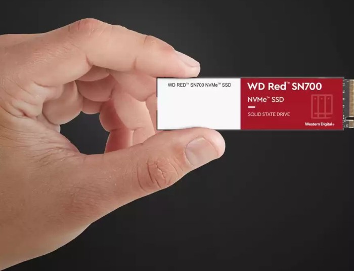 Western Digital Red SN700 NVMe NAS SSD - 1DWPD 1TB, M.2 2280 / M-Key / PCIe 3.0 x4