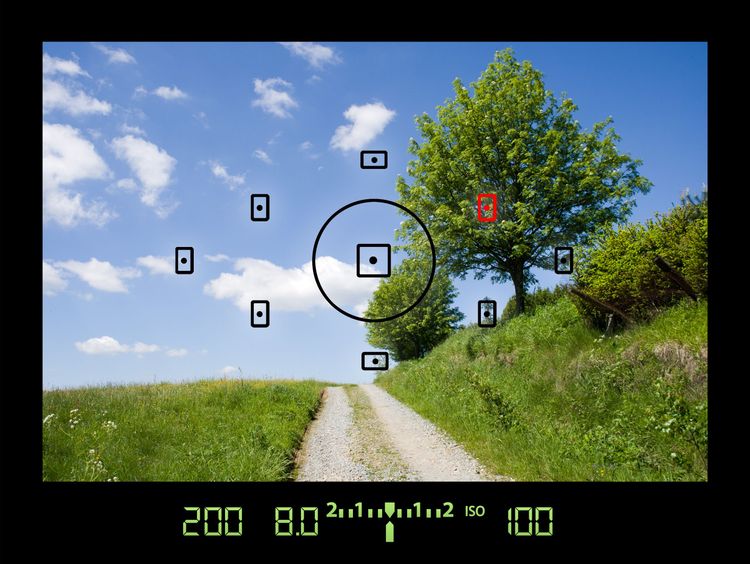 Blick auf ein Kamera-Display mit aktiviertem Autofokus bzw. Autofokusfeldern