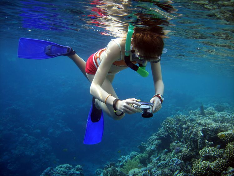 Taucherin beim Fotografieren eines Riffs mit einer Unterwasserkamera