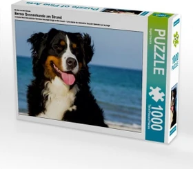 Calvendo Ein Motiv aus dem Kalender Berner Sennenhunde am Strand