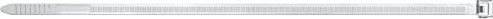 fischer BN Kabelbinder, 8.8mm, 760mm, transparent, 100er-Pack