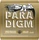 Ernie Ball Paradigm 80/20 Bronze Medium Light (P02086)