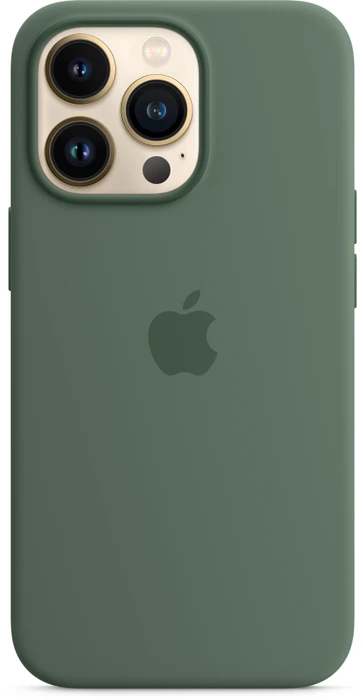 Apple Silikon Case mit MagSafe für iPhone 13 Pro Eukalyptus