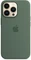 Apple Silikon Case mit MagSafe für iPhone 13 Pro Eukalyptus Vorschaubild
