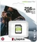 Kingston Canvas Select Plus Gen3 R100/W85 256GB, UHS-I U3, Class 10 Vorschaubild