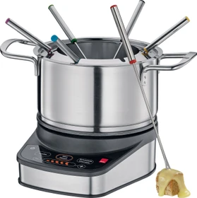 Spring Professional Fondue