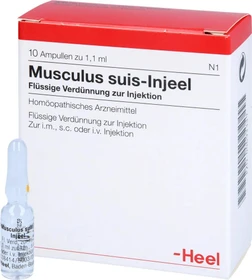 Heel Musculus suis-Injeel Ampullen, 10 Stück