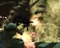 APB: All Points Bulletin - Reloaded (MMOG) (PC) Vorschaubild