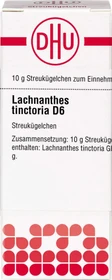 DHU Lachnanthes tinctoria D6 Globuli, 10g