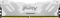 Kingston FURY Renegade DIMM DDR5 Vorschaubild