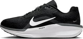 Nike Winflo 11 (Herren)