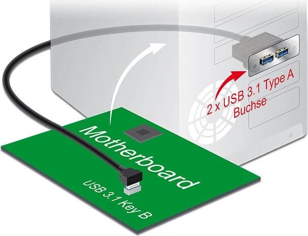 DeLOCK intern 20-Pin Key-B USB 3.1 auf 2x USB-A 3.1 Konverter, Adapterkabel, 0.45m