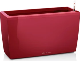Lechuza Cararo scarlet rot hochglanz