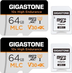Gigastone 10x High Endurance R100/W65 64GB Kit, UHS-I U3, Class 10, 2er-Pack