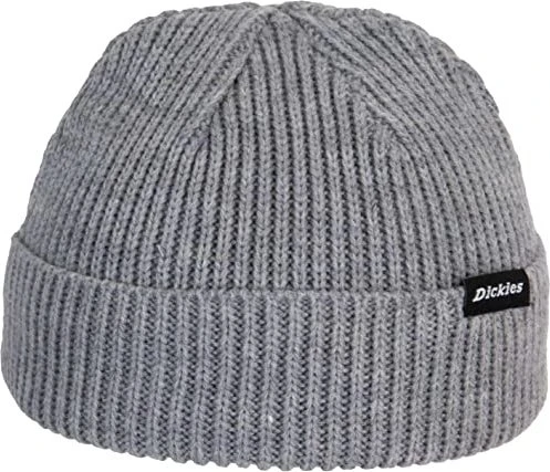 Dickies Woodworth Beanie grey melange