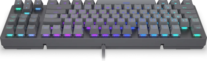 Endorfy Thock V2 TKL, PBT, grau, LEDs RGB, hot-swap, Endorfy RED, USB, CZ/SK