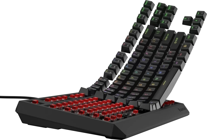 Genesis Thor 230 TKL, schwarz, LEDs RGB, hot-swap, Gaote Outemu BROWN, USB, US