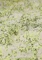 Jack Wolfskin Prelight Wind Funktionsjacke sandblasted cool matcha (Damen) Vorschaubild