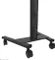 Neomounts FL50S-825BL1 Vorschaubild