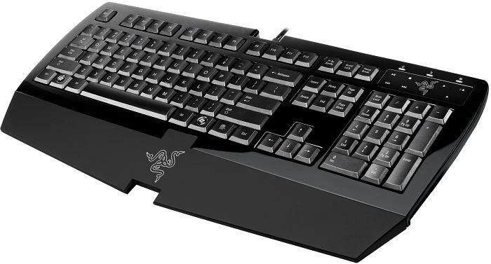 Razer Arctosa silber, USB, DE