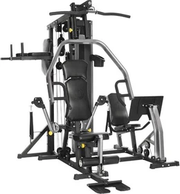 Horizon Fitness Torus V Kraftstation