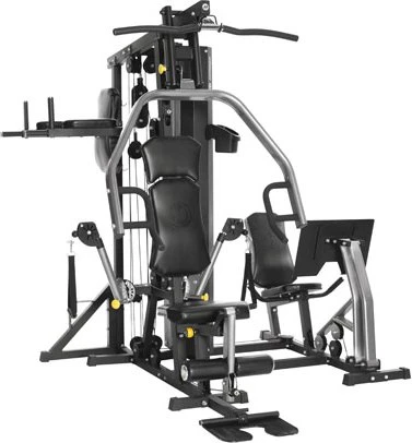 Horizon Fitness Torus V Kraftstation