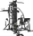 Horizon Fitness Torus V Kraftstation