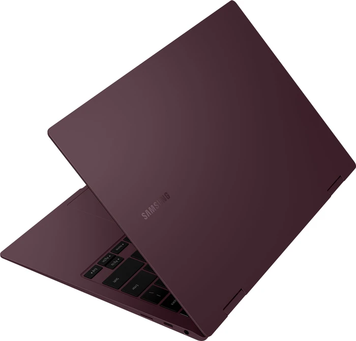 Samsung Galaxy Book2 Pro 360 13, Burgundy, Core i5-1240P, 8GB RAM, 256GB SSD, DE