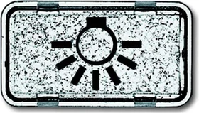 Busch-Jaeger Allwetter 44 Tastersymbol Licht