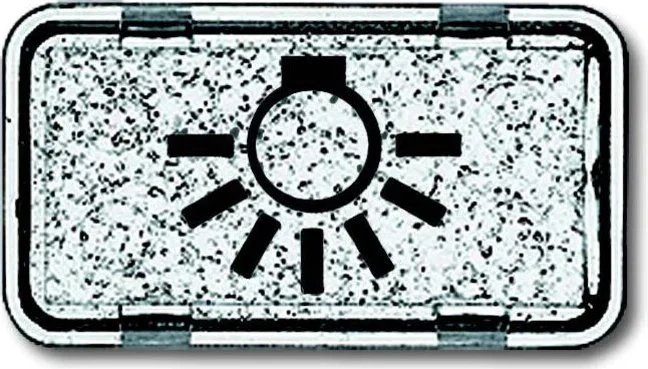 Busch-Jaeger Allwetter 44 Tastersymbol Licht