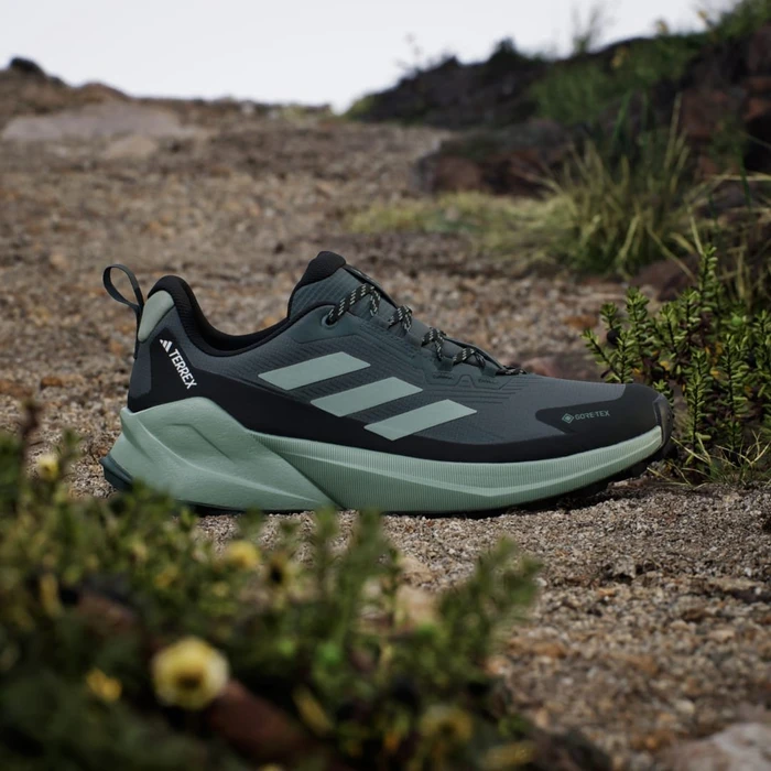 adidas Terrex Trailmaker 2.0 GTX legend ivy/silver green/core black (Herren)