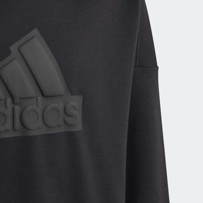 adidas Future Icons Logo Hoodie schwarz (Junior)