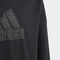 adidas Future Icons Logo Hoodie schwarz (Junior) Vorschaubild