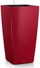 Lechuza Cubico 50 scarlet rot hochglanz
