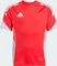 adidas Tiro 25 Competition Trikot kurzarm pure ruby (Junior) Vorschaubild
