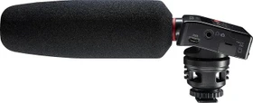 Tascam DR-10SG