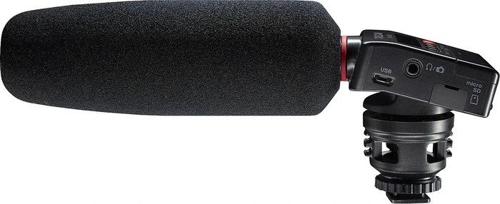 Tascam DR-10SG