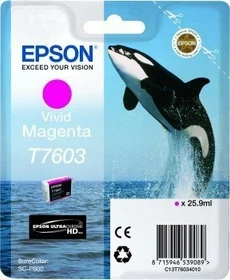 Epson Tinte T7603 magenta