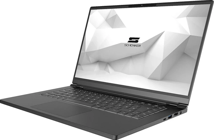 Schenker VIA 15-E20ydv, Ryzen 5 3500U, 8GB RAM, 250GB SSD, DE
