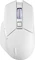PowerColor Alphyn AM10 Wireless Gaming Mouse Vorschaubild