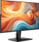 MSI MSI Pro MP245 E14VL, 23.8" Vorschaubild