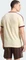 adidas 3-Streifen T-Shirt kurzarm warm vanilla/maroon (Herren) Vorschaubild