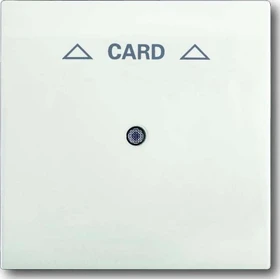 Busch-Jaeger Impuls Zentralscheibe für Cardschalter, studioweiß matt