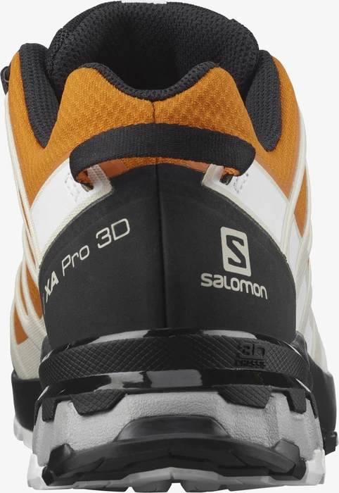 Salomon XA Pro 3D V8 GTX marmalade/rainy day/white (Herren)