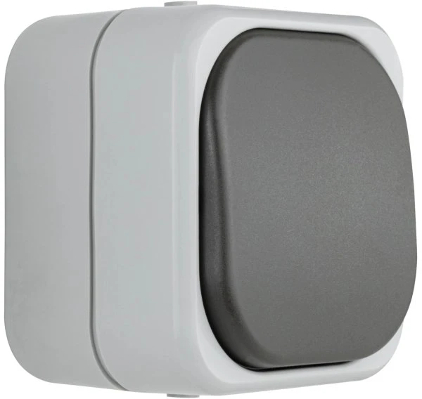 REV Ritter AquaTop Aus-/Wechselschalter AP IP 44, grau