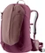 Deuter AC Lite 21 SL ashrose/cassis (Damen) Vorschaubild