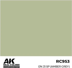 AK-Interactive 2nd Gen Real Colors ijn j3 sp, 17ml